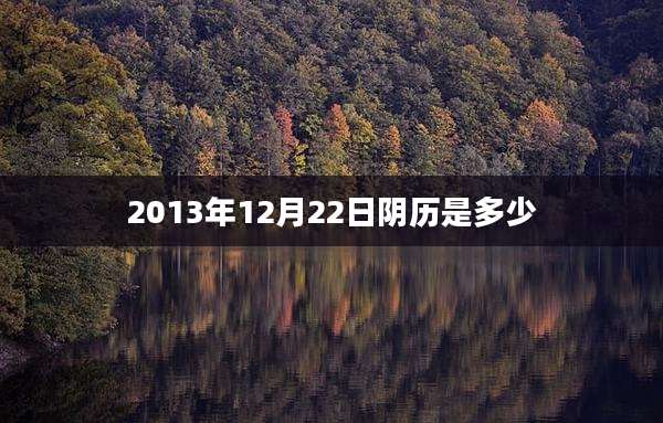2013年12月22日阴历是多少