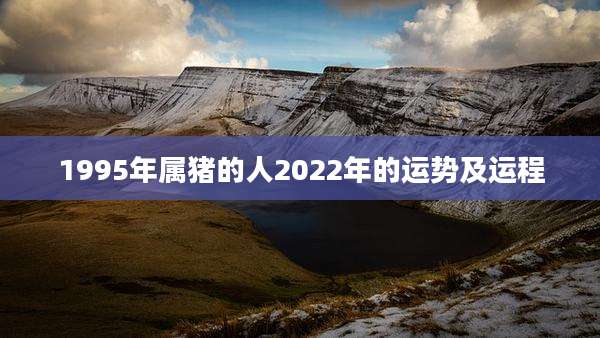 1995年属猪的人2022年的运势及运程