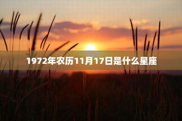 1972年农历11月17日是什么星座