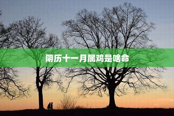阴历十一月属鸡是啥命