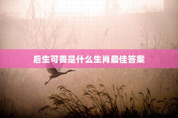 后生可畏是什么生肖最佳答案