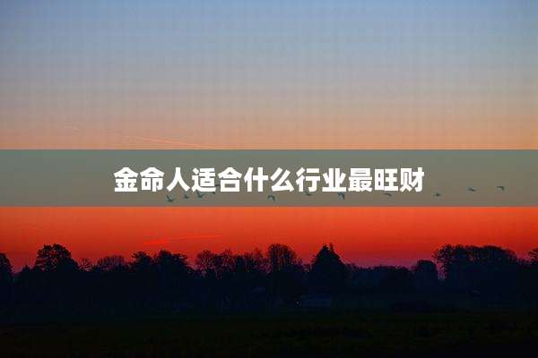 金命人适合什么行业最旺财