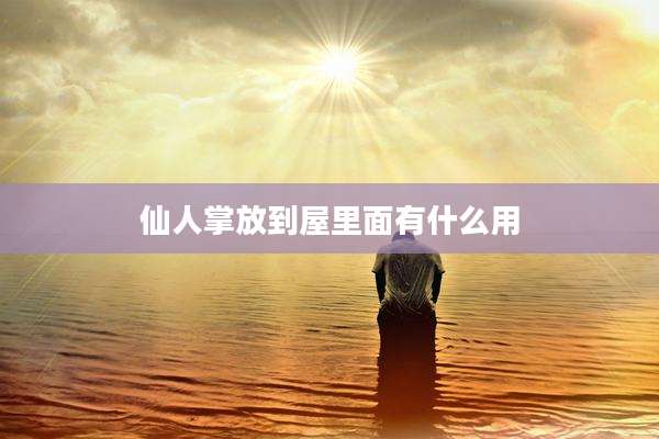 仙人掌放到屋里面有什么用
