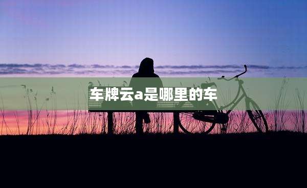车牌云a是哪里的车