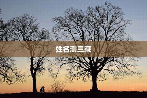 姓名测三藏