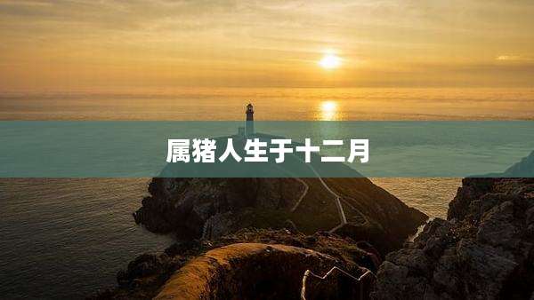 属猪人生于十二月
