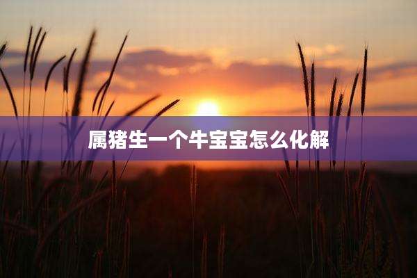 属猪生一个牛宝宝怎么化解