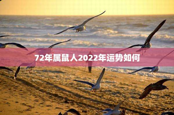 72年属鼠人2022年运势如何