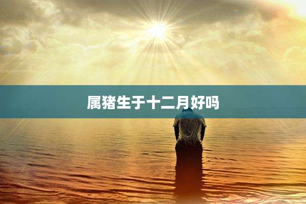 属猪生于十二月好吗