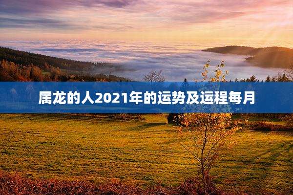 属龙的人2021年的运势及运程每月