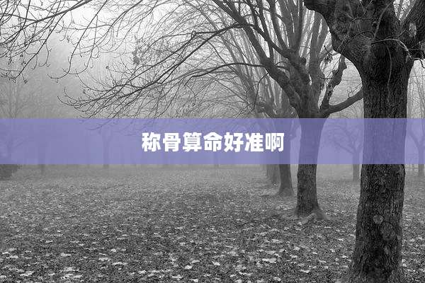 称骨算命好准啊