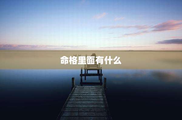 命格里面有什么
