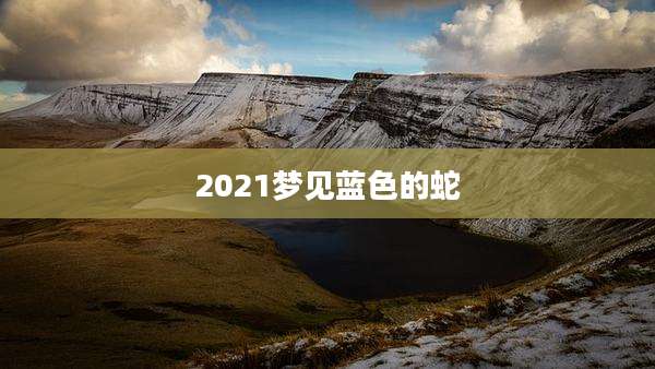 2021梦见蓝色的蛇