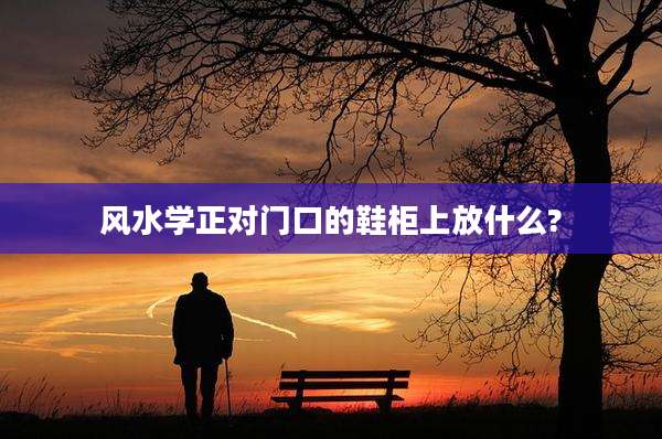 风水学正对门口的鞋柜上放什么?