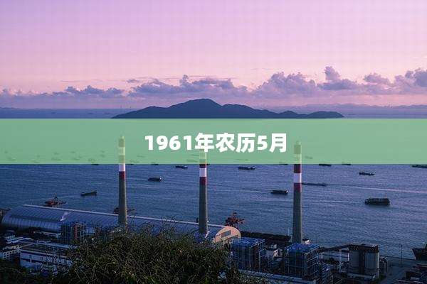 1961年农历5月