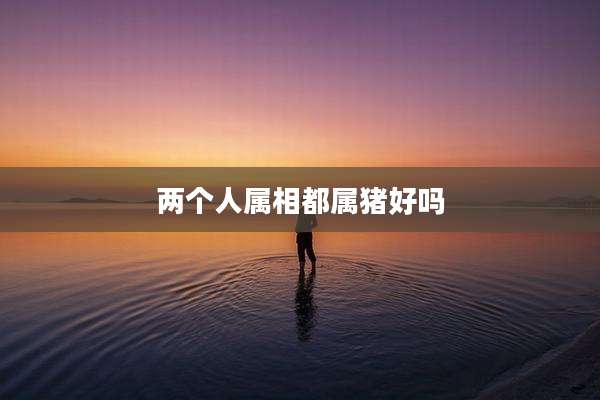 两个人属相都属猪好吗