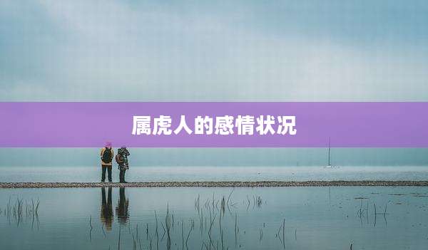 属虎人的感情状况
