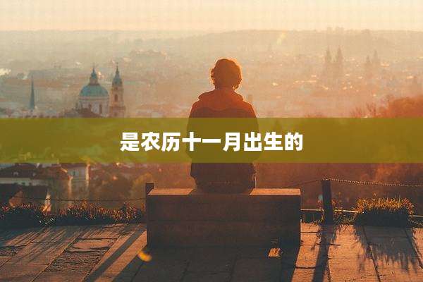 是农历十一月出生的