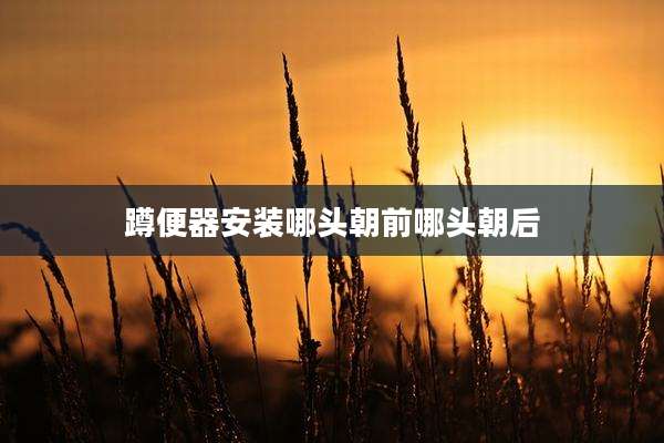 蹲便器安装哪头朝前哪头朝后