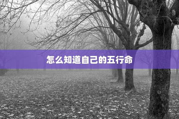 怎么知道自己的五行命