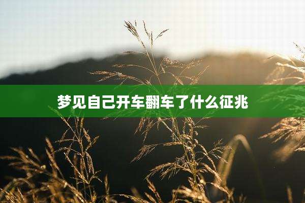 梦见自己开车翻车了什么征兆