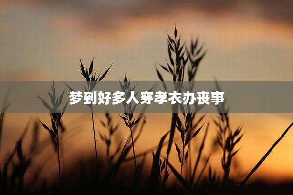 梦到好多人穿孝衣办丧事