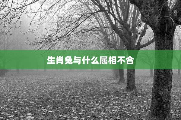 生肖兔与什么属相不合