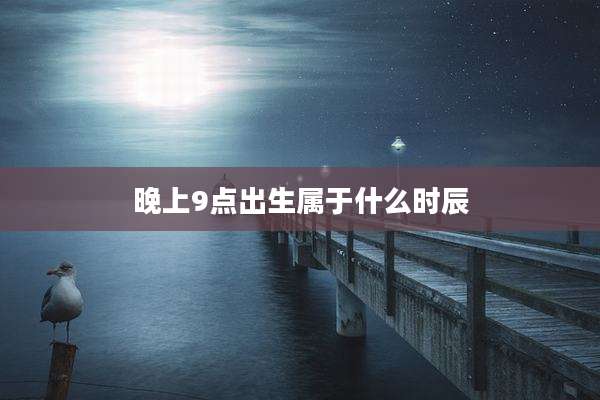 晚上9点出生属于什么时辰