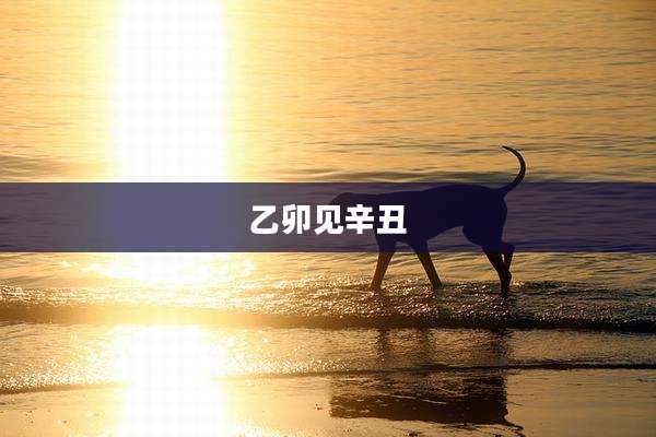 乙卯见辛丑