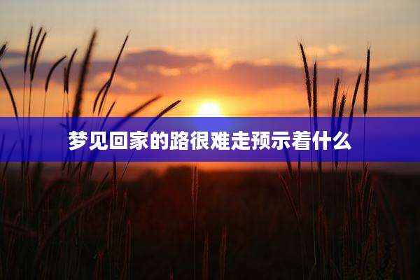 梦见回家的路很难走预示着什么