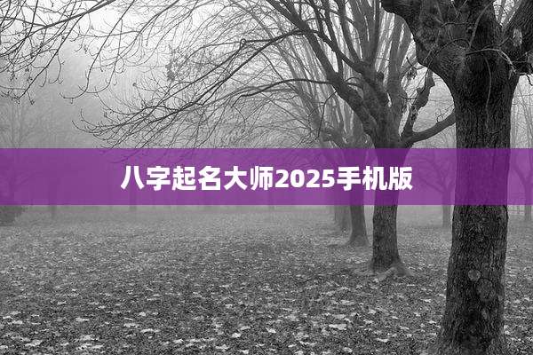 八字起名大师2025手机版