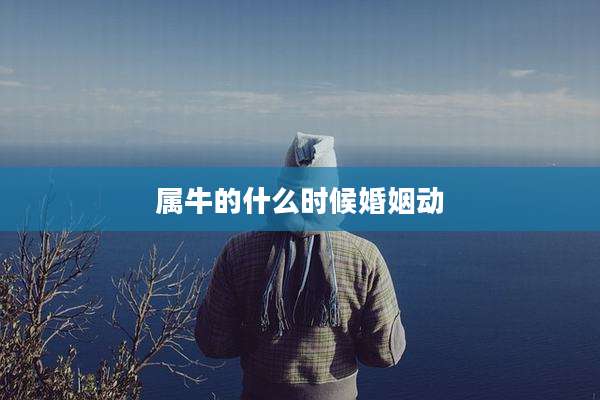 属牛的什么时候婚姻动