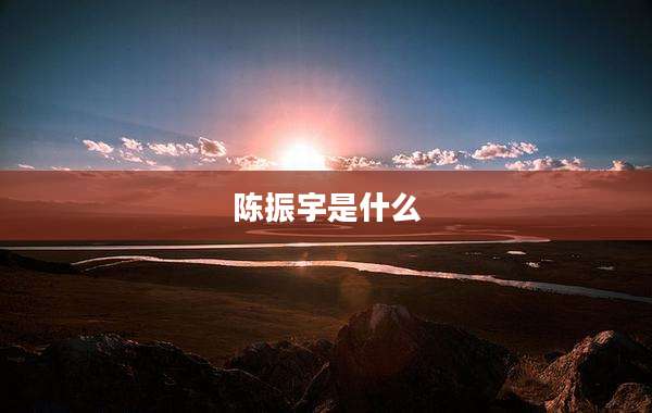 陈振宇是什么