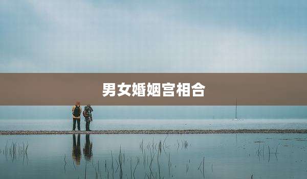 男女婚姻宫相合
