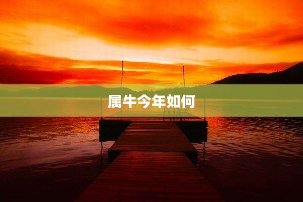 属牛今年如何