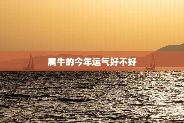 属牛的今年运气好不好