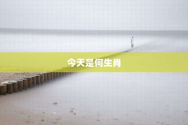 今天是何生肖