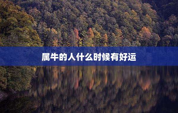 属牛的人什么时候有好运