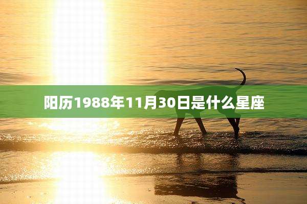 阳历1988年11月30日是什么星座