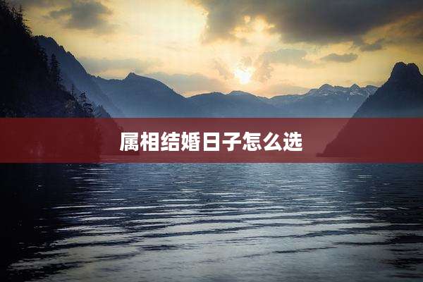 属相结婚日子怎么选