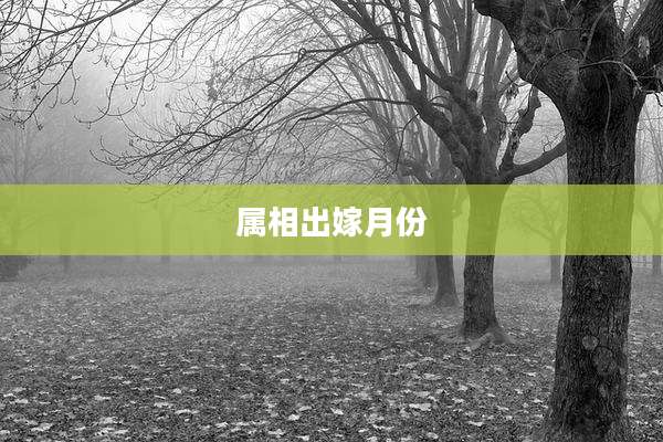 属相出嫁月份